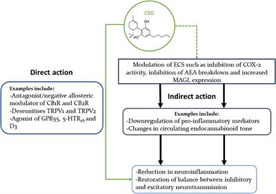 Cannabidiol and Neurodevelopmental Disorders in Children